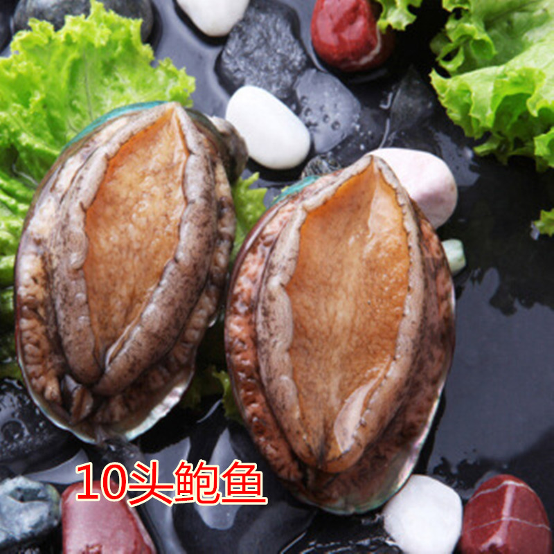 Chongqing shipped live abalone Dalian live spot wild abalone fresh seafood 10 head abalone