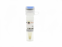 Biyuntian reagent Mycoplasma removal reagent C0288S C0288M C0290S C0290M