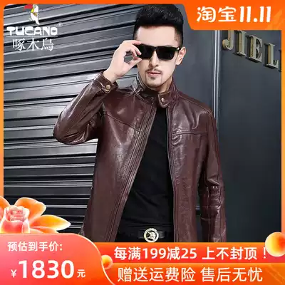 Woodpecker Haining leather leather men's new head layer cow short style collar leather clothing autumn youth casual men's coat