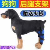 Коррекция собаки. Переломы.