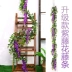 Wisteria hoa mô phỏng hoa giả mây uốn lượn trần phòng khách trong nhà trang trí đám cưới nhựa hoa chuỗi cây nho - Hoa nhân tạo / Cây / Trái cây