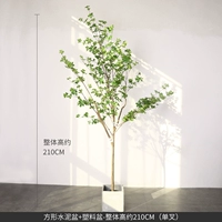 2,1 метра висящего часового дерева ++ квадратного цементного бассейна