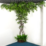 Имитация цветущей вишни, искусственные деревья, листья баньяна, зеленые лозы ротанга, внутренние трубы, стена гостиной, большие зеленые растения, украшение подвесного потолка.