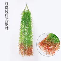 Красная хвостовая лист