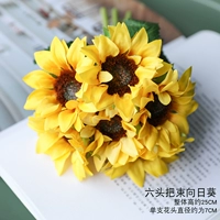 Шесть голов солнечных цветов