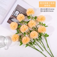 10 цвет шампанского