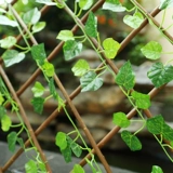 Блокировка балкона декоративное листовое телескопическое моделирование забора