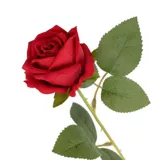 Моделирование красной розы цветочниковые цветочные букет JK Потальный день Святого Валентина