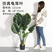 1,2 метра доли черепахи [Плетеная корзина]