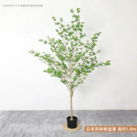 1,8 метра висящего часового дерева