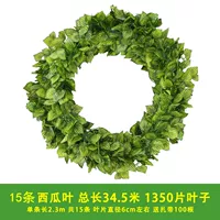 15 листьев из 90 листьев в арбузе [доставка ремня]