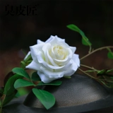 Моделирование розовая виноградная лоза Факовая цветочная виноградная лоза воздух -кондиционированные лестницы