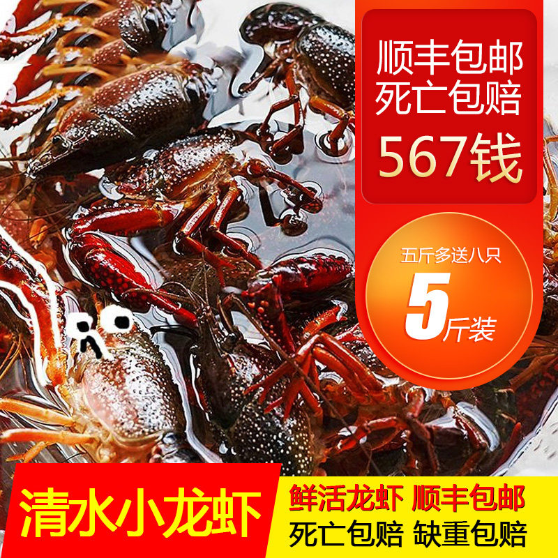 5斤567钱湖北潜江小龙虾:洪湖清水稻田虾,顺丰速递,鲜美直达家门!-活虾-淘宝好物网