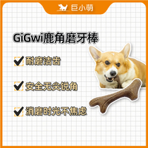 Giant Little Meng GiGwi is expensive for large dog items in deer antlers grinders Toys are resistant to biting pet toys