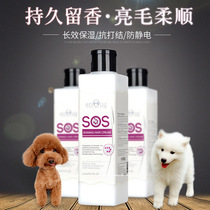 Giant Small Cute SOS Pooch Mohair Soft Smooth Unknotted Teddy Special Pet Bath Care Supplies