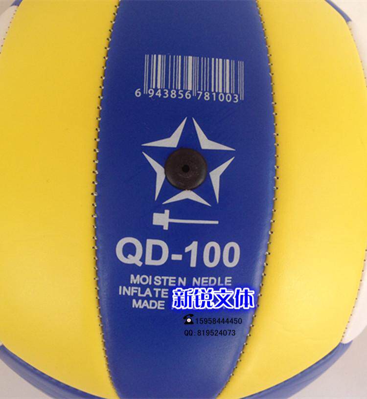 Ballon de volley-ball - Ref 2012839 Image 15