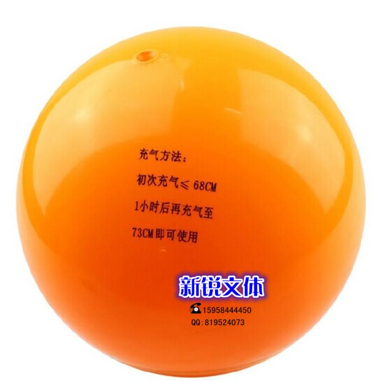 Ballon de volley - Ref 2016390 Image 14