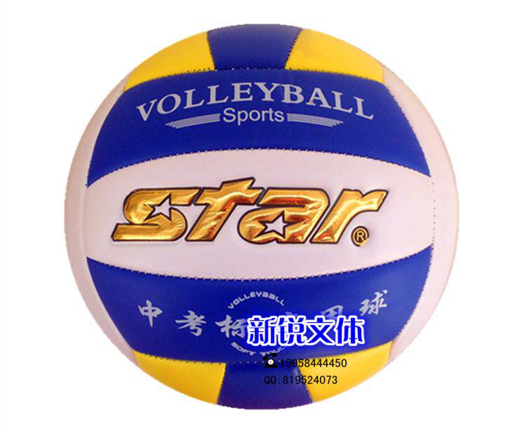 Ballon de volley-ball - Ref 2012839 Image 6
