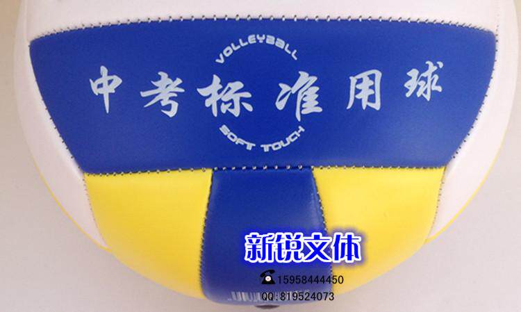 Ballon de volley-ball - Ref 2012839 Image 13