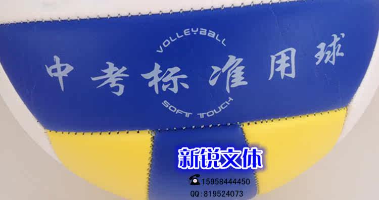 Ballon de volley-ball - Ref 2011283 Image 12