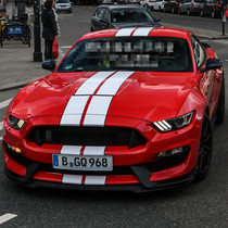 Ford Mustang Car Sticker Flower Mondeo Fox Personality Hood Sports Pull Flower Cover Car Sticker