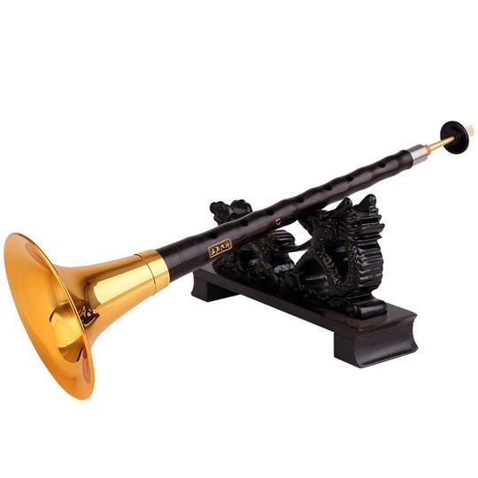 红木黑檀木乌木唢呐乐器全套初学者成人入门D调民族中号吹奏喇叭