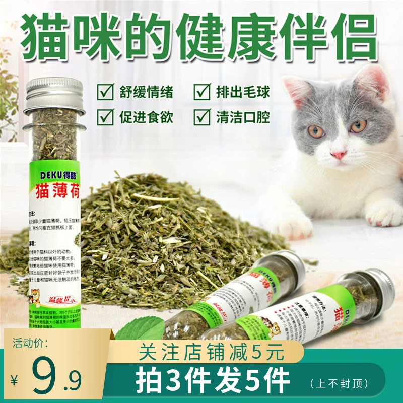 Mèo ăn nhẹ cho mèo với cỏ bạc hà Bột bạc hà cỏ bóng cỏ làm sạch mèo con thành mèo hỗ trợ dinh dưỡng tiêu hóa - Đồ ăn nhẹ cho mèo