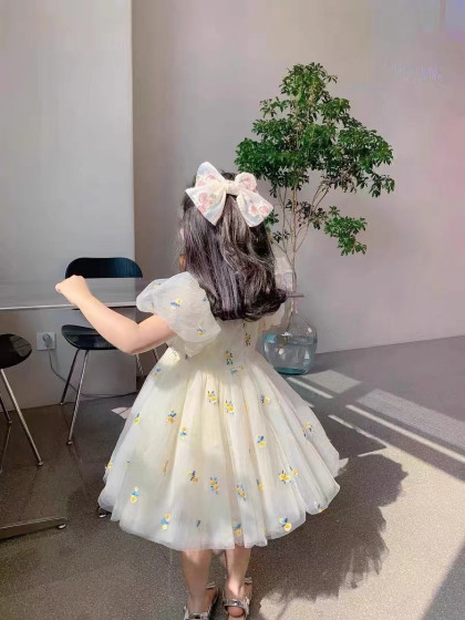 女童夏装新款公主裙子