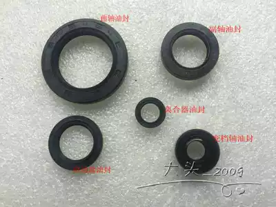Earth Eagle King full car oil seal engine oil seal DD250E DD250G DD150G engine oil seal