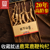 Wild Mountain ginseng Northeast Ginseng Under the forest ginseng Dry ginseng 20 years old White Mountain Wild Mountain Ginseng Laoshan Ginseng sparkling wine whole branch gift box