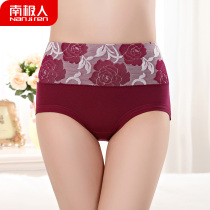 4 Antarctic people mid-to-high waist womens underwear tuces cotton file fat MM large size printed triangle shorts head