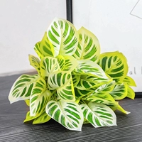 Золотой зеленый и белый яблочный листья 1