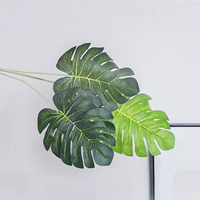 Светлая желтая тригема назад доля 1