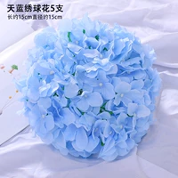 5 светло -зеленые голубые цветы гортензии