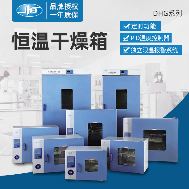 Shanghai One constant DHG-9015A small electric hot blast thermostatic drying oven laboratory oven Industry 300 ° C