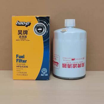 Cx1011A Diesel Filter Element Is Compatible with Yc6112 Chenglongwang 150-1105020A Diesel Filter