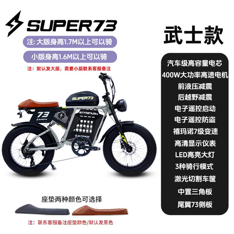 Phoenix National Standard Off-Road Variable Speed Mountain Bike Wide Tire Snow Super Motorcycle Power-Assisted Electric Bike 73