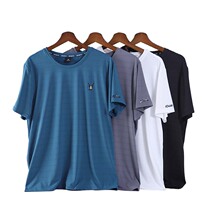 Male Summer Speed Dry Ice Silk Chinlon High Bounce Sweat-Free Running Sports Fashion Plus Mast Code Sashimi Short Sleeve T-shirt