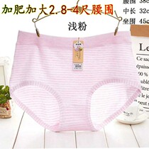 Large Code Briefs Female Triangle Pants Head Striped Plus Fat Increase Fat mm200 Catwaist Modell Cotton Quality Brief