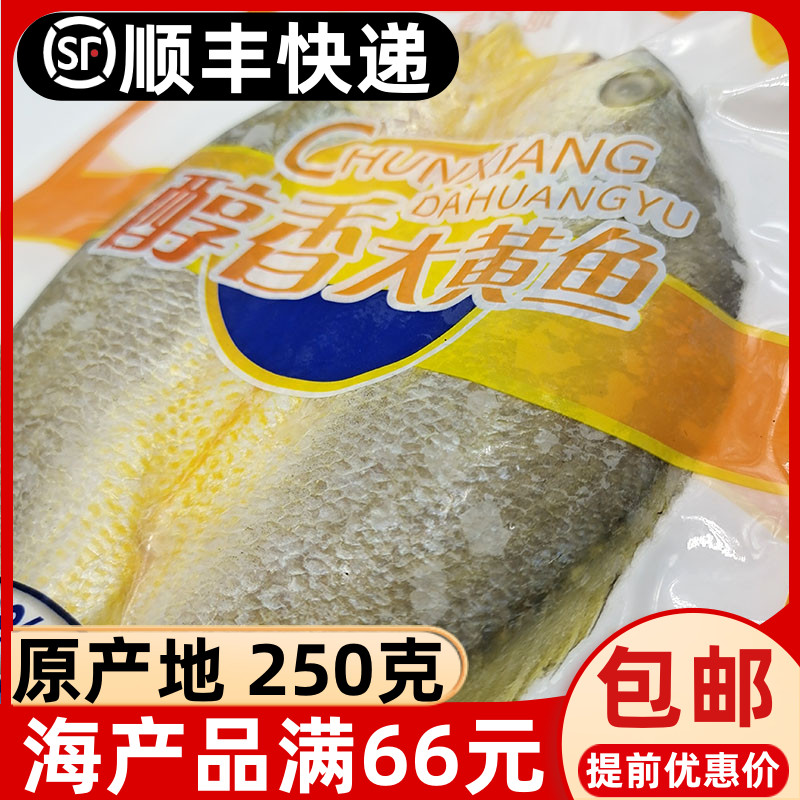 Fujian Ningde Great Yellow Fish Pickled yellow fish Cucumber Fish Fresh Frozen Aquatic Yellowfish 250g