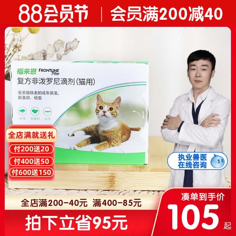 Forcome In Vitro Insect Repellent Cat Sea Leiny Insect Repellent Drug 3 Kittens Insect Repellent Drug Cat Drip Into Cat Young Cat Forain 