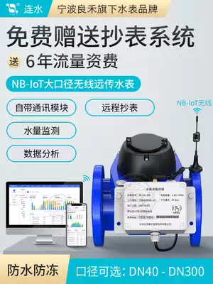 NB-IoT Wireless remote transmission Large diameter water meter Industrial remote meter reading Smart water meter Energy saving system