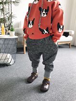 Childrens clothing 20 autumn and winter Korean edition of snowflake Harlen pants children tide Fan and casual big ass pants