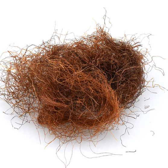 Corn - 2 pieces of pure corn - coffee and old corn - grass herb medicine 500g - 15 yuan