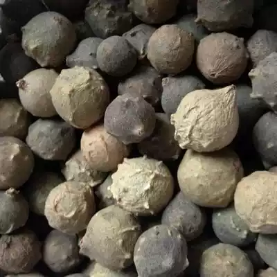 Gallic ink stone, no food, no stone, no stone, no stone, 500g, 75 yuan