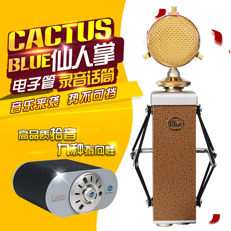 Blue CACTUS Cactus professional studio condenser microphone network K song anchor microphone set