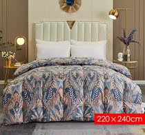 O Lifu antibacterial and anti-mite fabric Dool suede white goose down thickened winter is overvalued by group of oriental cj shopping