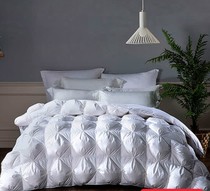 Dinosaur Treasures Aviary Barn Style White Goose Suede Lavish Set 95 White Goose Down Oriental Cj Shopping