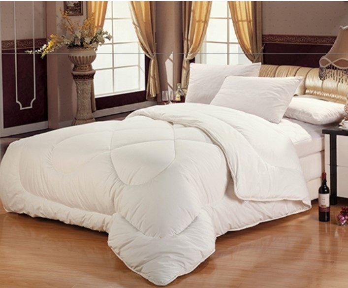 Cat cat pure cotton pure new wool autumn winter by ex-gratia group (imported wool) oriental cj shopping straight hair