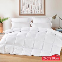 ESPRIT Perfection Antimicrobial Resistance Mites White Goose Down Winter Quilt Cover Group 95 White Goose Down Oriental Cj Shopping